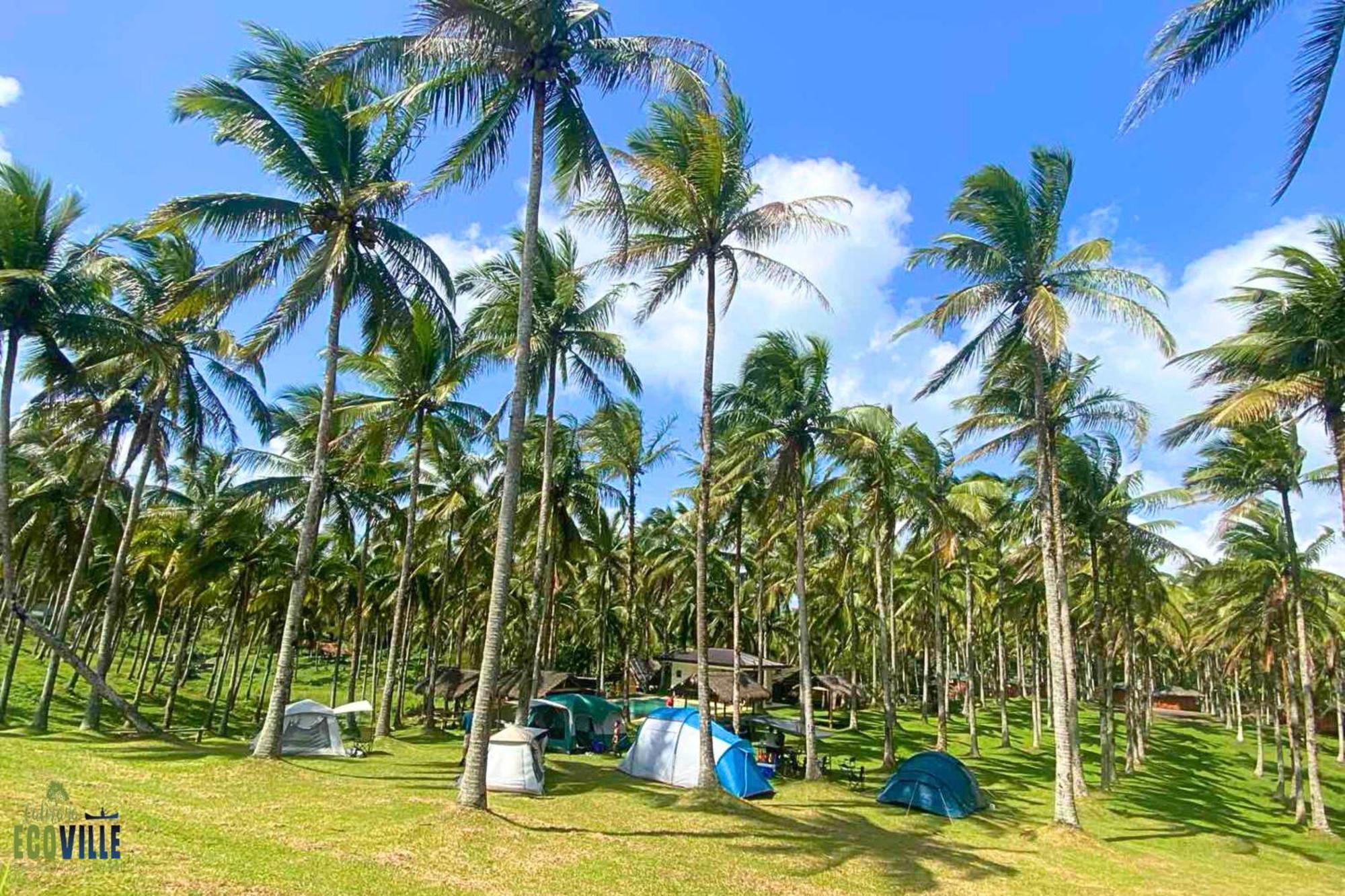 Caliraya Ecoville Recreation And Farm Resort Cavinti Exterior foto